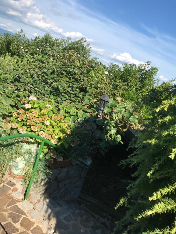 Studio Apartman Lavanda Matulji Kültér fotó